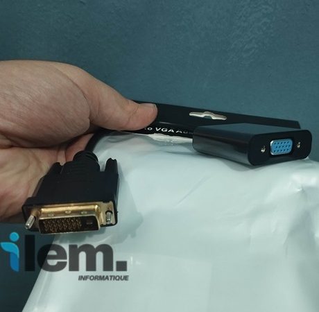 Adaptateur DVI-D 24+1 vers VGA (Mâle vers Femelle)